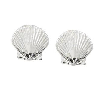 Scallop Shell Stud Earrings E102
