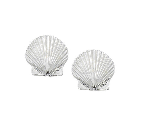 Scallop Shell Stud Earrings E105
