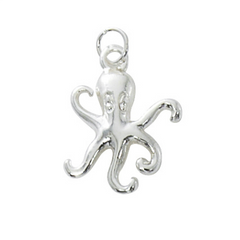 Charms